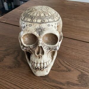 Oddities skull skeleton head